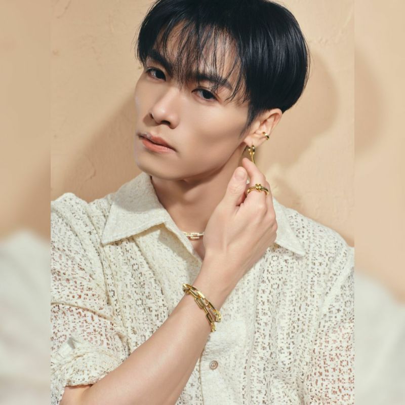Pavé Hoop Ring【Silver925】(Gold) | AUREA.